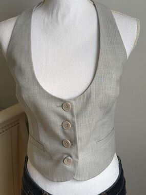 The Limited Light Gray Pinstripe Tailored Vest